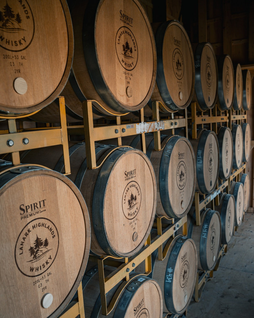 Taste Of The Trails 4