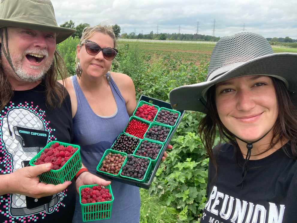 Top Shelf Distillers