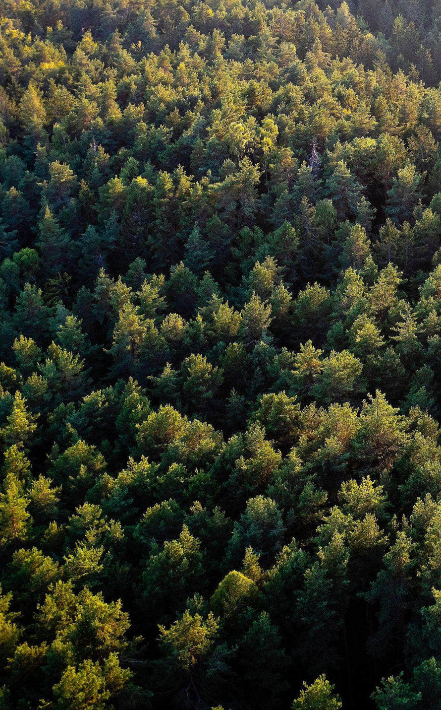 Top Shelf Distillers